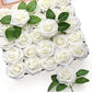 10/25 roses