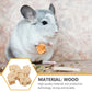 Hamster Tunnel/ hus