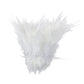 Large package of chicken feathers 1000pcs