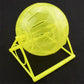 Spring boll Hamster