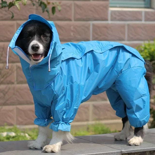 Regn jacka med ben för stor hund