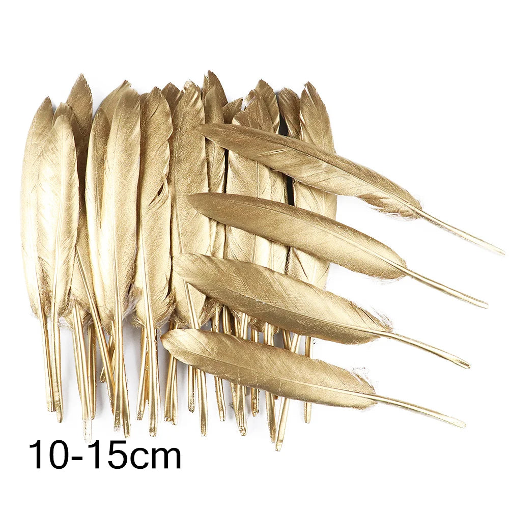 Goose feathers black with gold pattern