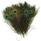 Påfågel fjädrar 24-30cm