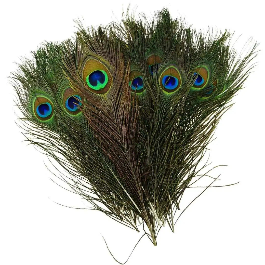 Påfågel fjädrar 24-30cm