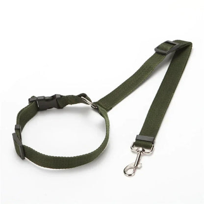 Bilbälte för hund