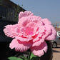 Stora dekoration rosor 50cm