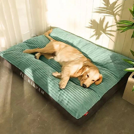 Bed for larger dogs