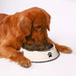 Stainless steel dog food bowls with paws