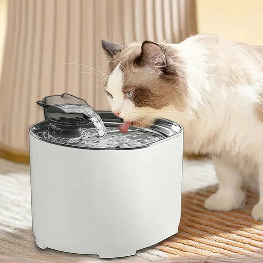 Elektronisk vatten fontän för hund katt
