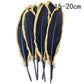 Goose feathers black with gold pattern