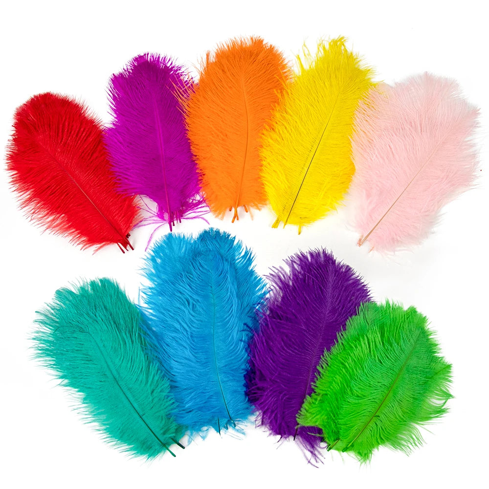Färgade Strutsfjädrar 15-35cm