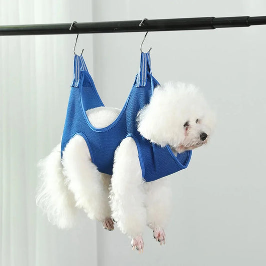 Sele hund för klo klippning