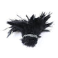 Large pack of chicken feathers