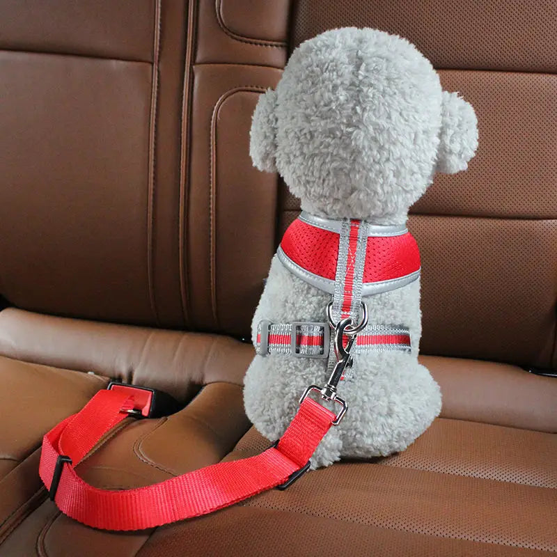 Säkerhets bälte bil hund