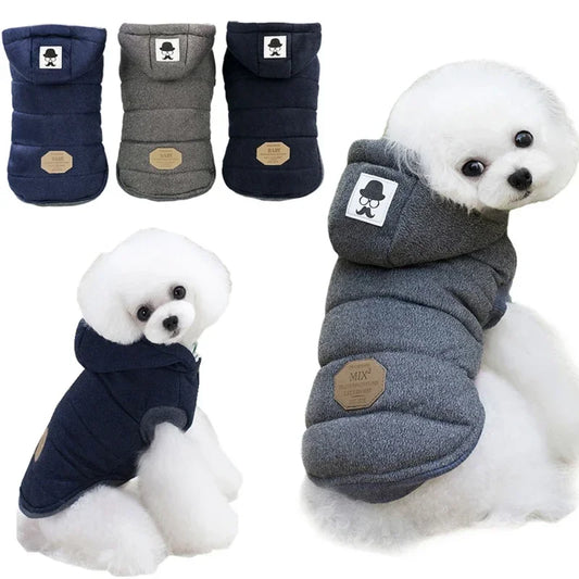 Vinter jacka vadderad hund