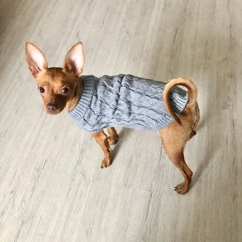 Stickad tröja hund