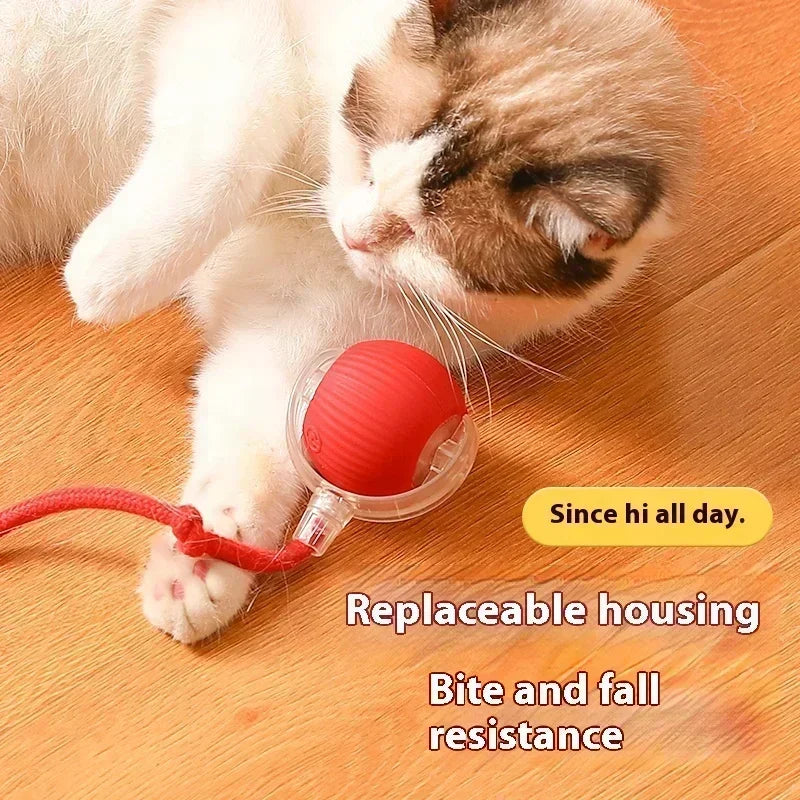 Elektrisk boll katt leksak