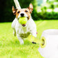 Automatisk boll kastare för din hund