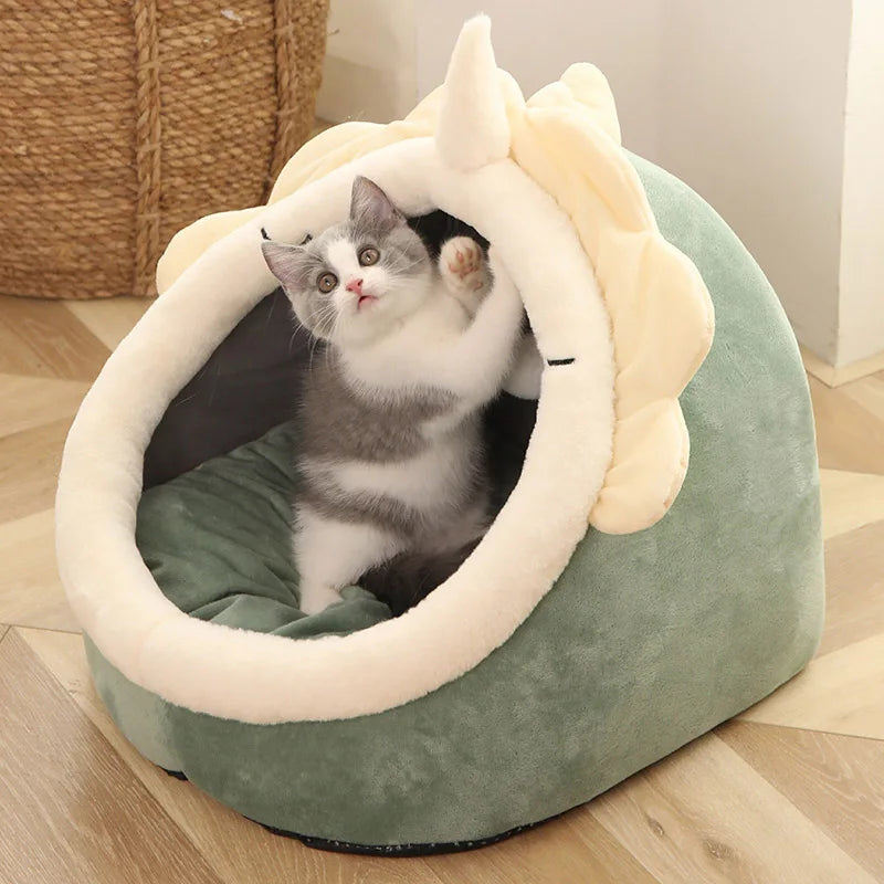 Mysig kattkoja