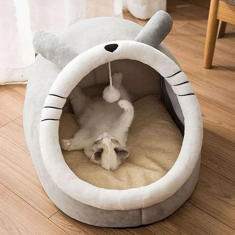 Mysig kattkoja