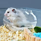 Toalett låda Hamster