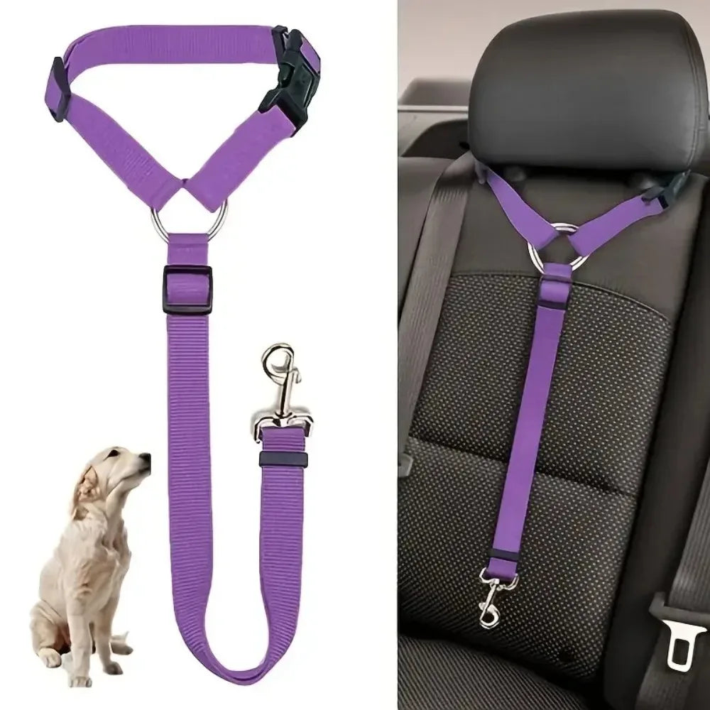 Bilbälte för hund