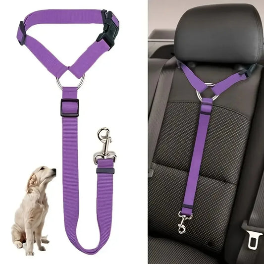 Bilbälte för hund