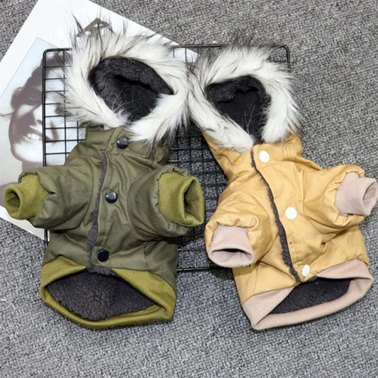 Vinter jackor med luva och pälskrage