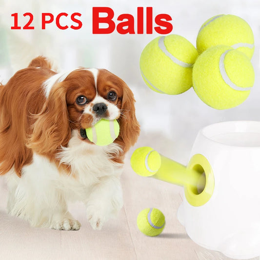 Automatisk boll kastare för din hund