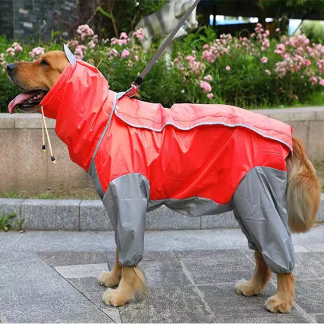 Regn jacka med ben för stor hund