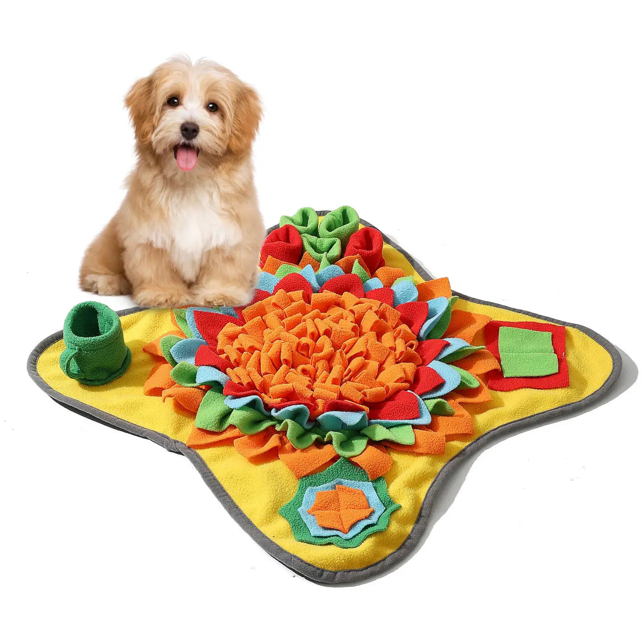 Sök matta hund