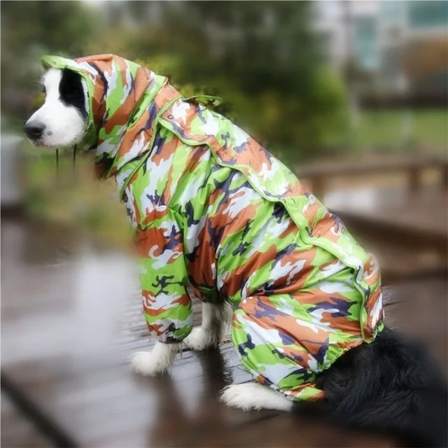Regn jacka med ben för stor hund