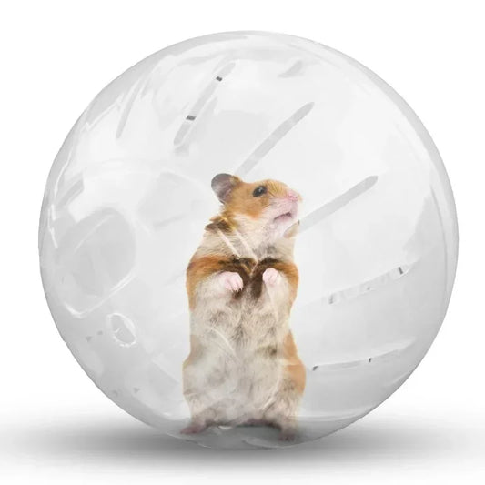 Spring boll Hamster