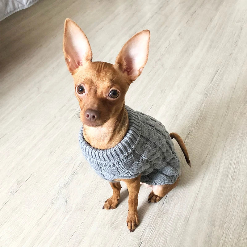 Stickad tröja hund