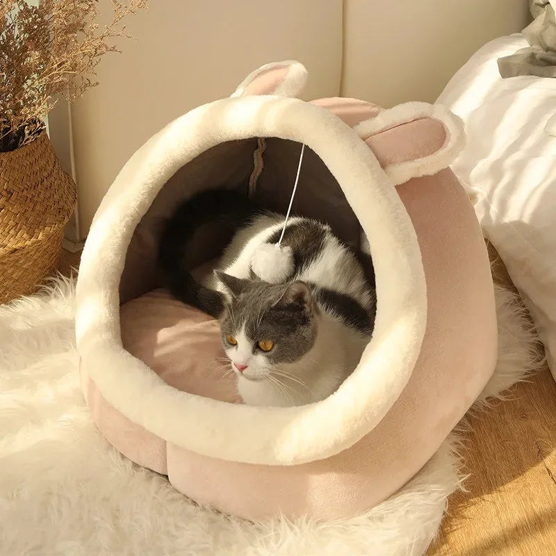 Mysig kattkoja
