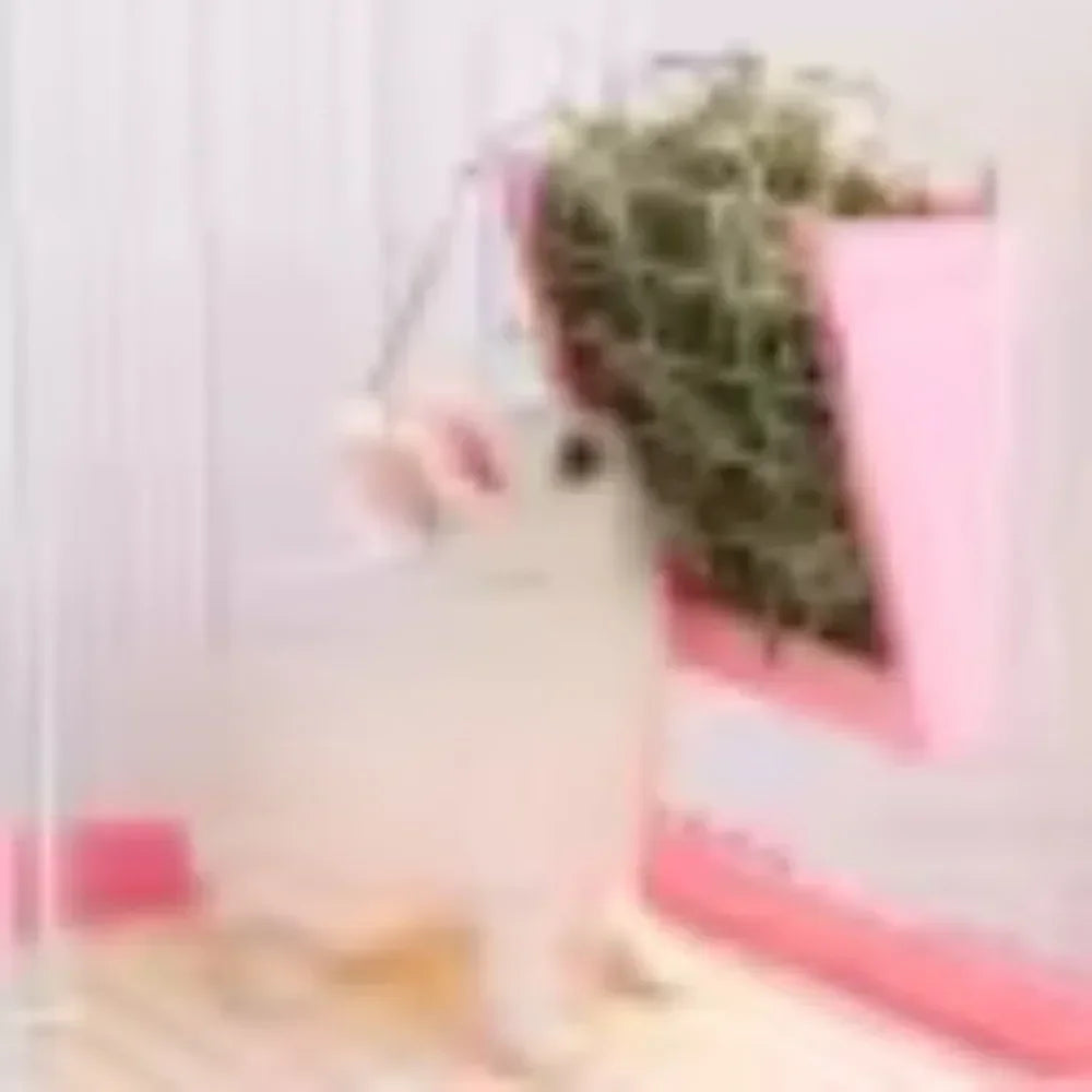 Hö hållare kanin
