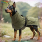 Regn jacka hund
