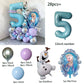 28-pack Ballong kit Frost