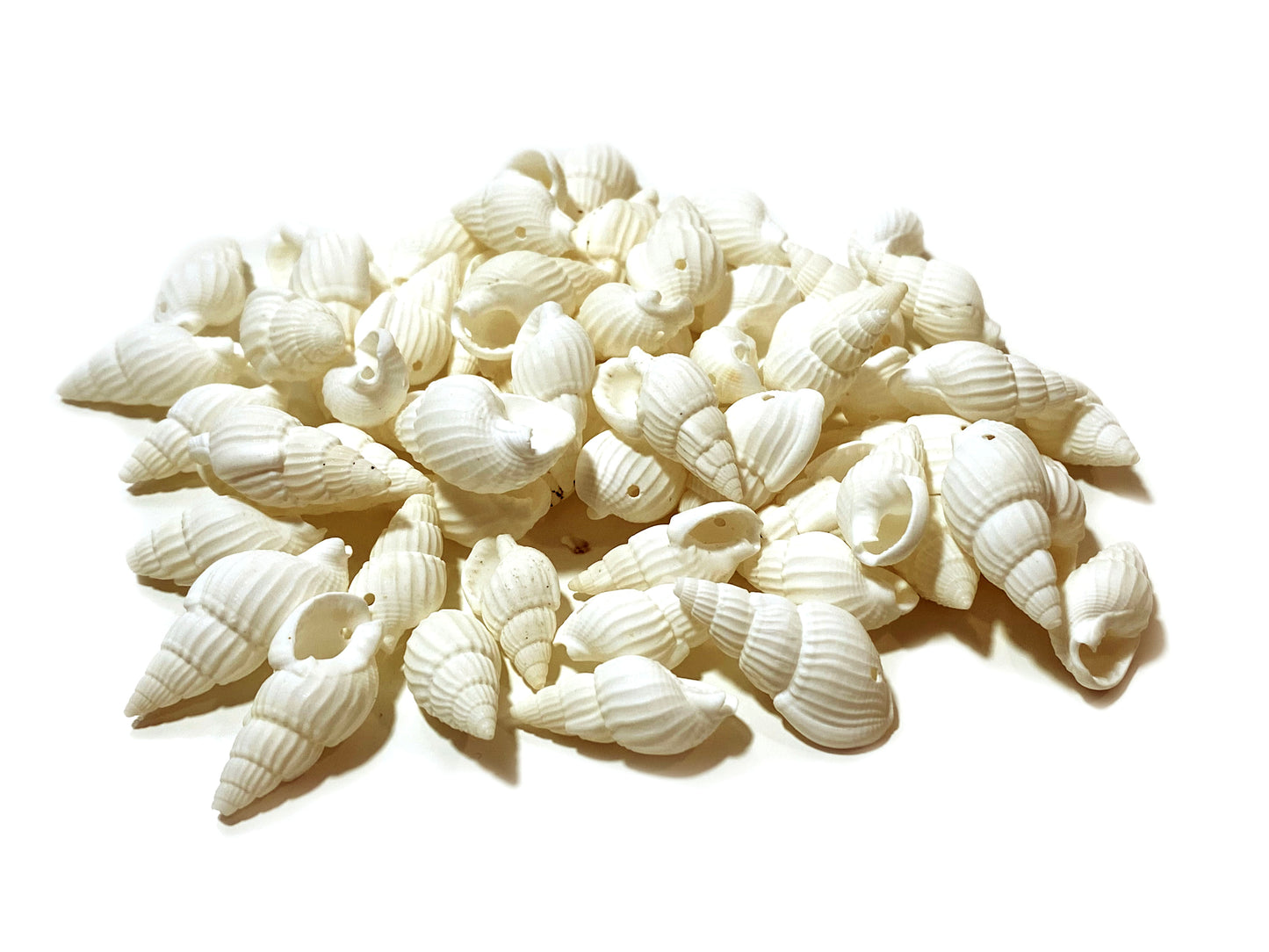Shells